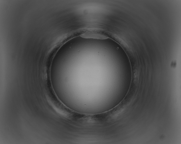 X0000093560254200710221429