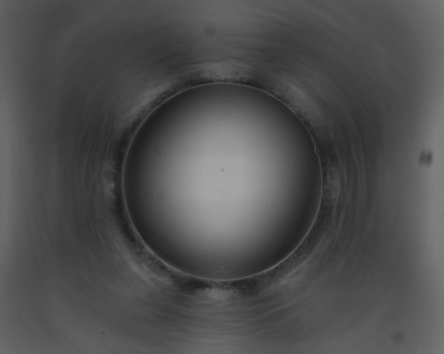 X0000093560255200710221429