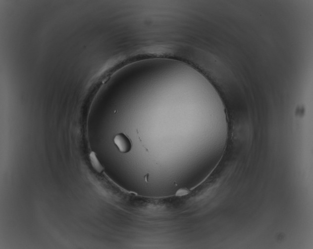 X0000093560256200710221429