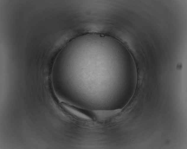 X0000093560257200710221429