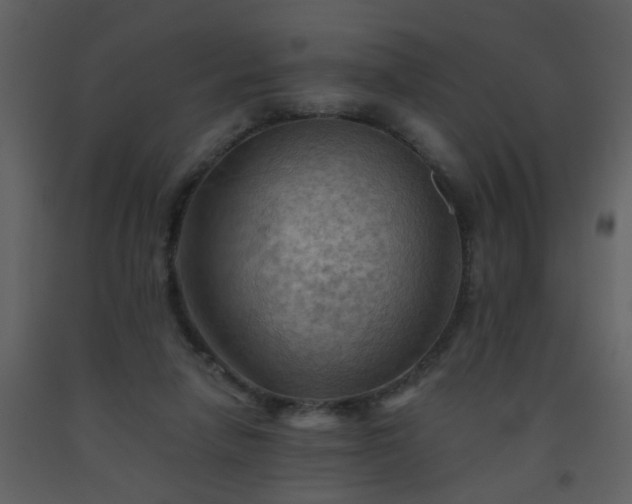 X0000093560258200710221429