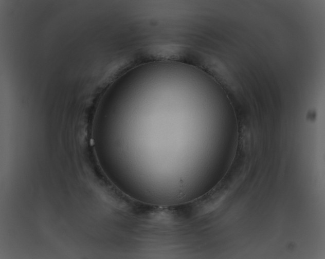 X0000093560259200710221429