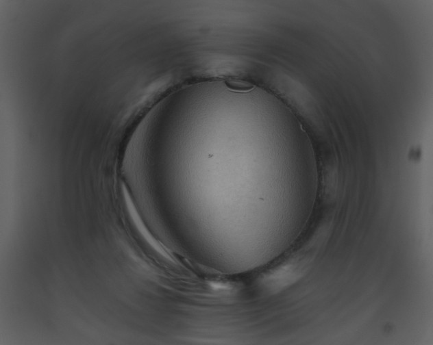 X0000093560260200710221429