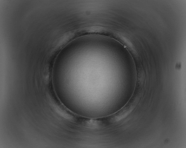 X0000093560261200710221429