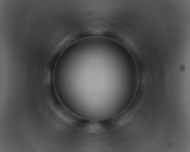 X0000093560262200710221429