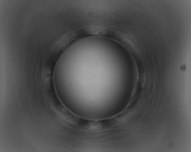 X0000093560263200710221429