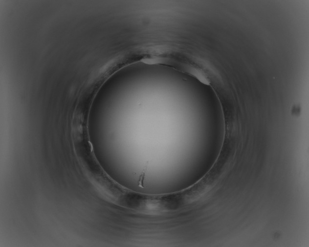 X0000093560264200710221429