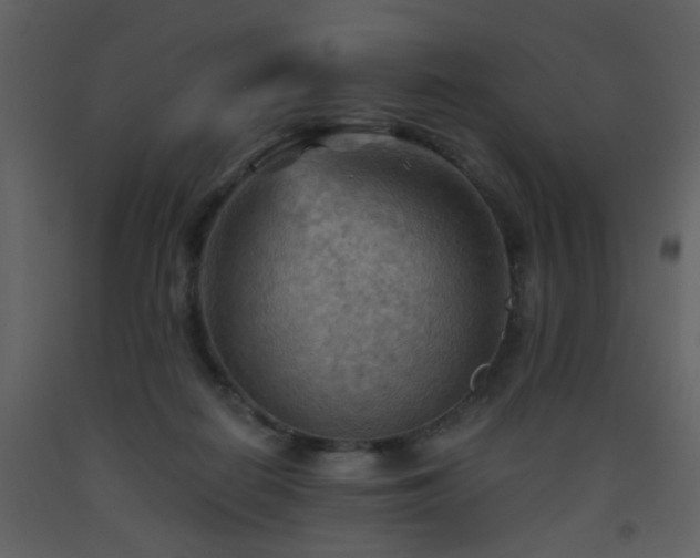 X0000093560266200710221429