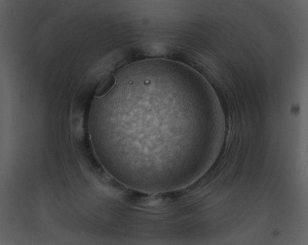 X0000093560267200710221429