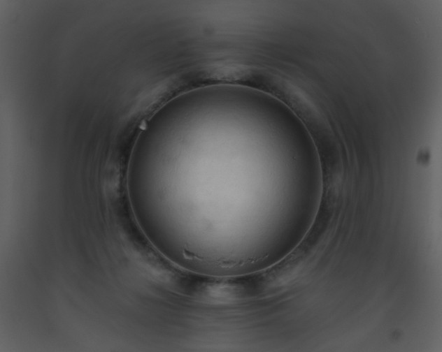 X0000093560268200710221429