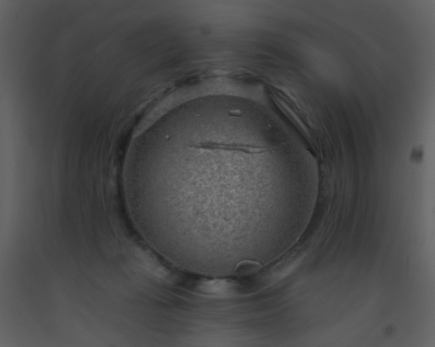 X0000093560269200710221429