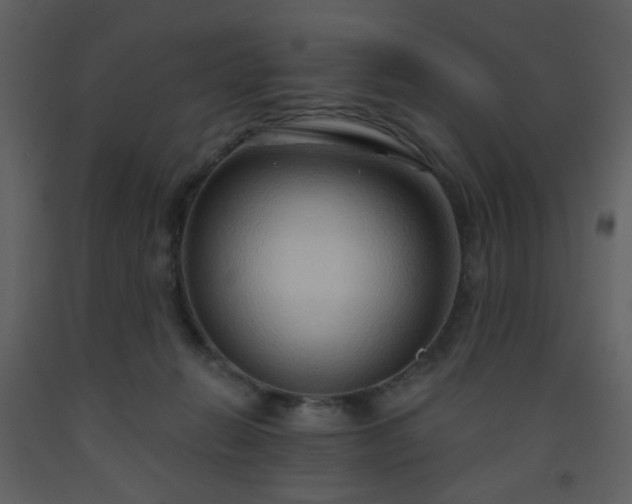 X0000093560270200710221429