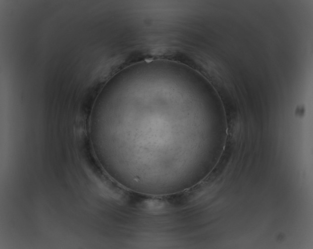 X0000093560272200710221429