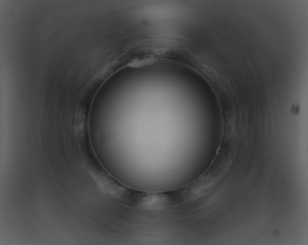 X0000093560274200710221429