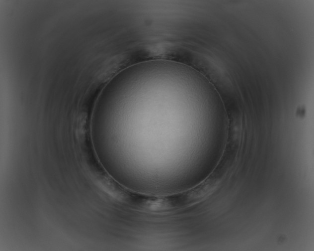 X0000093560275200710221429