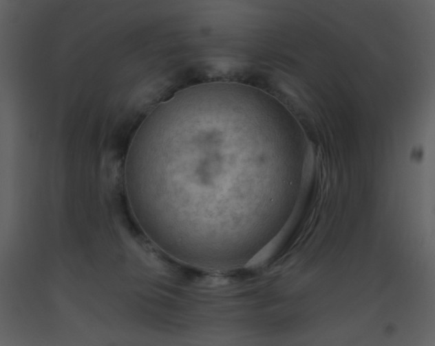 X0000093560276200710221429