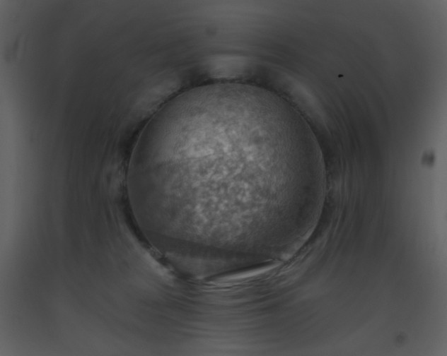 X0000093560277200710221429