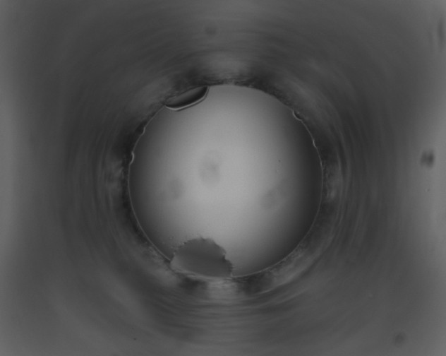 X0000093560279200710221429