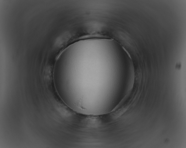 X0000093560280200710221429