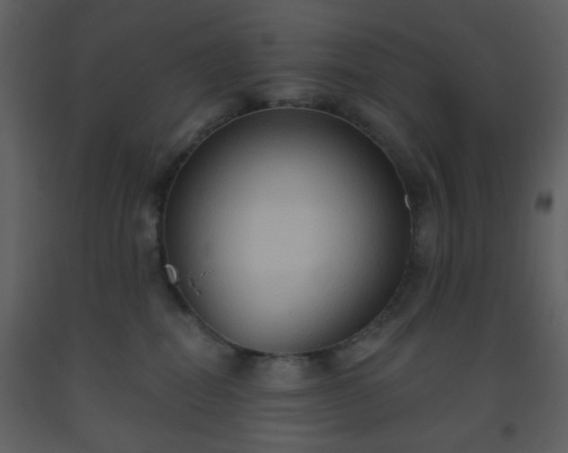 X0000093560282200710221429