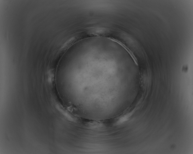 X0000093560284200710221429