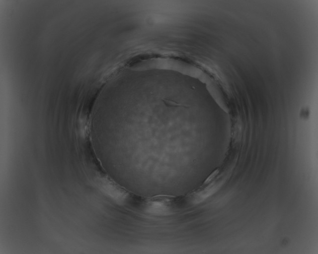 X0000093560285200710221429