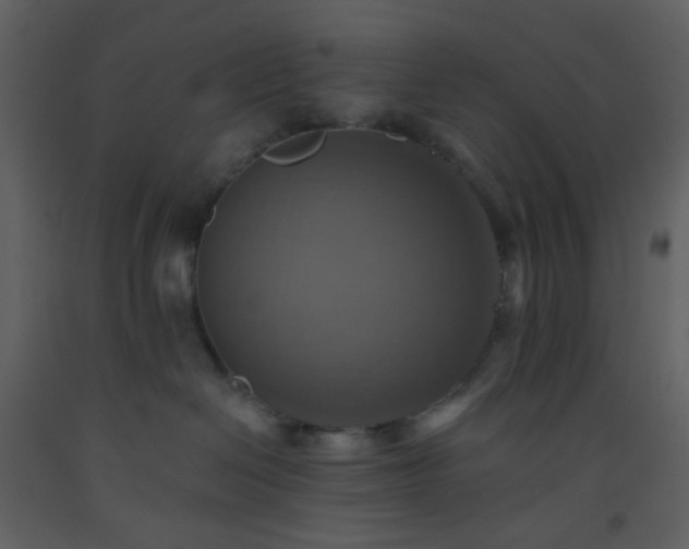 X0000093560286200710221429