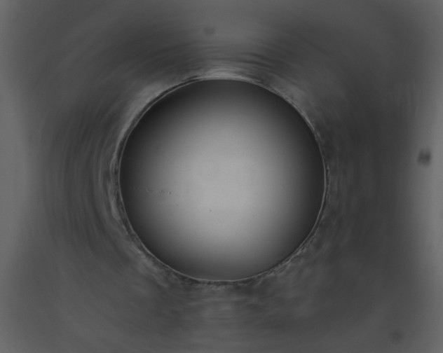 X0000093560289200710221428