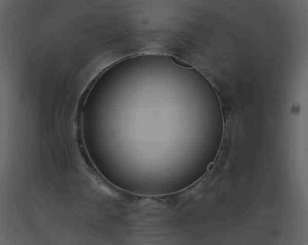 X0000093560290200710221428