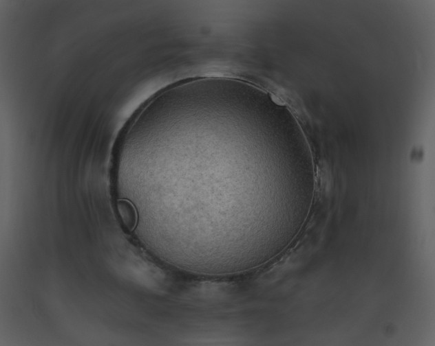 X0000093560292200710221428