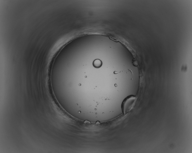 X0000093560293200710221428