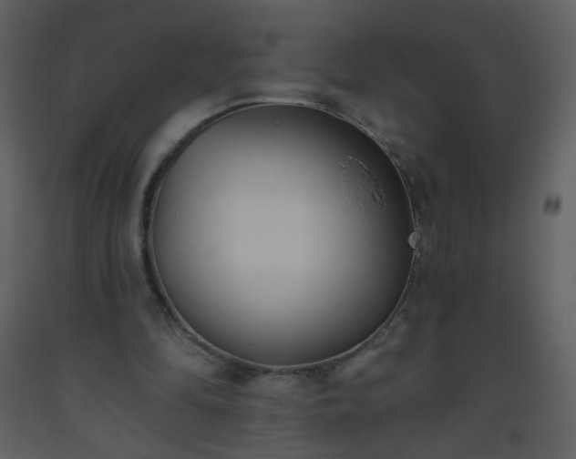 X0000093560294200710221428