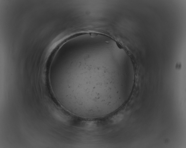 X0000093560295200710221428