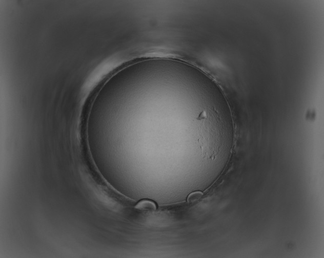 X0000093560296200710221428