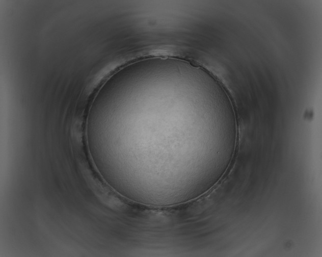 X0000093560297200710221428