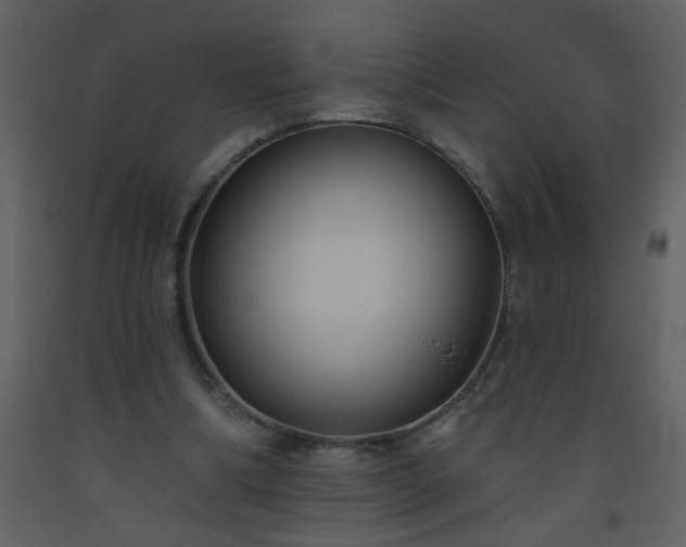 X0000093560298200710221428