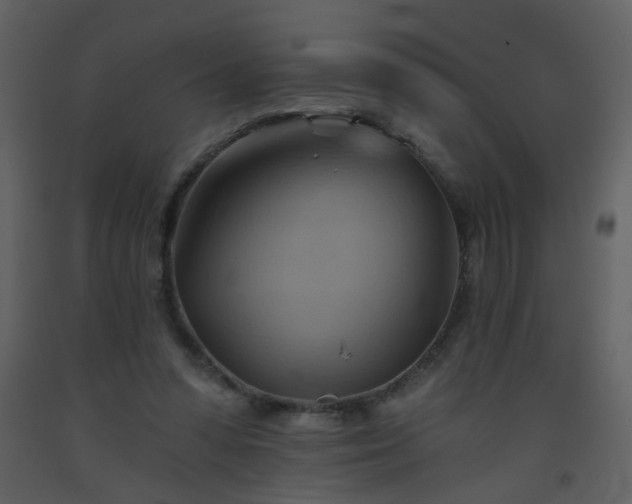 X0000093560303200710221428