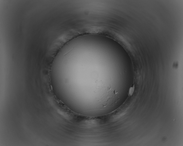 X0000093560307200710221428