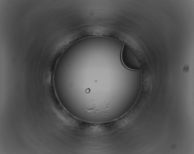 X0000093560310200710221428