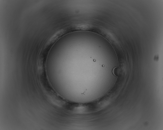 X0000093560312200710221428