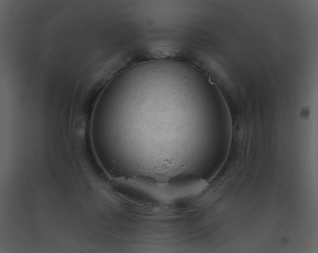 X0000093560315200710221428