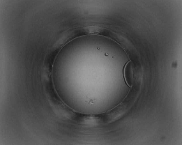 X0000093560316200710221428