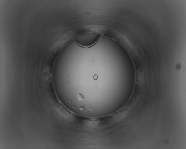 X0000093560318200710221428