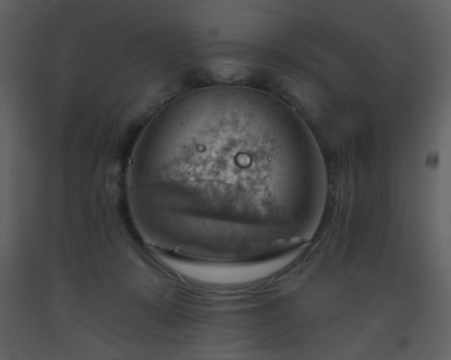 X0000093560319200710221428