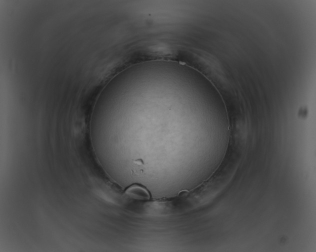 X0000093560320200710221428