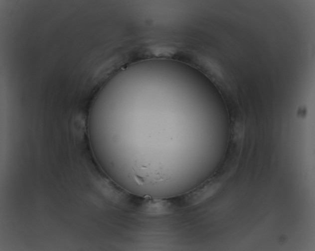 X0000093560321200710221428