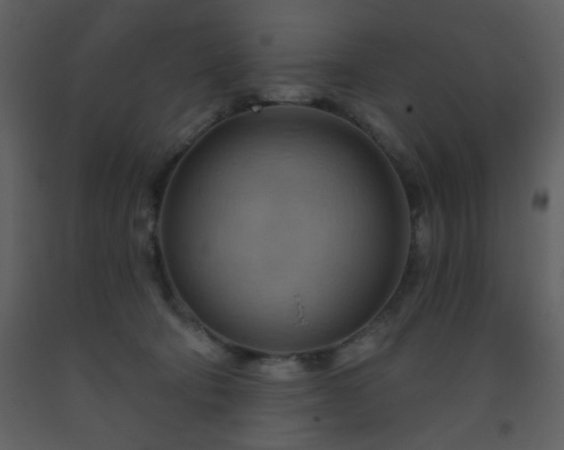 X0000093560322200710221428