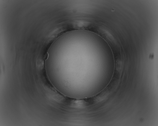 X0000093560324200710221428