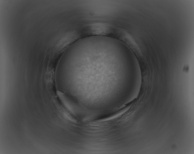 X0000093560325200710221428