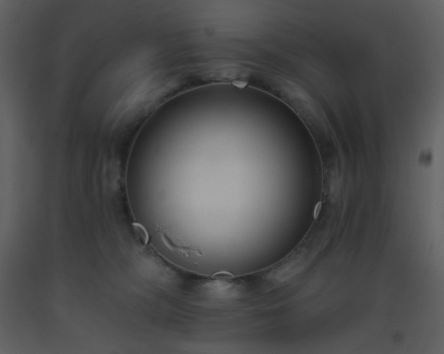 X0000093560326200710221428